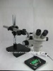 stereo microscope