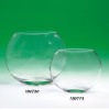 oblate glass fish bowl/hydropnic plant pot