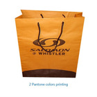 Promotional paper tote bag 2 pantone printing with rope handle,shopping bag,packaging bag