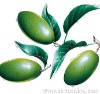 olive leaf extract