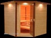 2011 traditional sauna room