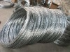 Galvanized Razor barbed wire mesh (factory)