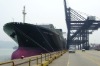 Bulk cargo LCL shipping services from guangzhou china to apapa nigeria