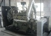 250KVA Natural Gas Generator Set