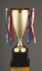 2012 New Plastic Trophy Cup