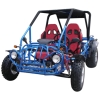 250CC Popular Go Kart with EEC