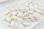 Snow White Pumpkin Seeds