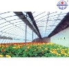 Economic tunnel green house