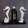 2012 new sea horse marble bookends