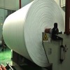 Polyester Spunbond Nonwoven Fabric