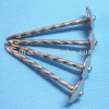 Galvanized twisted shank roofing nails with umbrella head