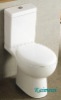 washdown two piece toilet KA2019