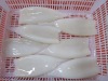 Frozen fish (squid tube)