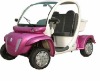 MATSA Series 2 Seats small cute Electric Golf car