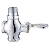 Toilet Manual Flush Valve