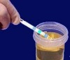 urine strip