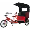 New Electric Rickshaw with PAS