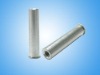 stainless steel Rivet Bolt