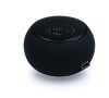 portable mini speaker