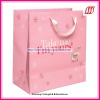 2011 Top Hot promotion paper bag