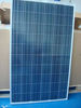 TUV Certified A large amount in stock 230W Poly solar panel