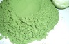 dried organic barley leaf powder