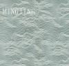 F-011 Jacquard lace fabric/Large lace fabric