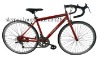 bike racing bicycle price