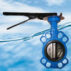 Wafer Type Butterfly Valve