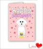 Hot sell greeting cards with competitive price