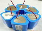 Long life 12V lipo battery packs for CCTV camera