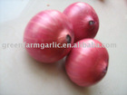 Chinese red onion for sale