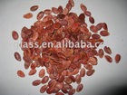 red water melon seeds 2010 new