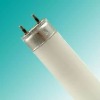 T8 Triphosphor High Efficiency enery saving Double-capped 10W tube Fluorescent