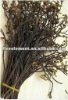 Dried Organic Bracken Fern