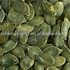 pumpkin seeds kernels gws