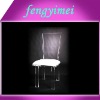 Fashion Clear Acrylic Chair with mat,Plexiglass chair FYM-ACD2015