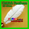 Factory Wholesale 100% Exporting 25-30cm with Various Colors Ostrich Feather for Party Wedding Centerpiece Decoration