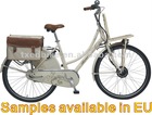 electric bicycle/pedelec lithium battery/e-bike