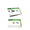 Promotional Plastic USB Card With OEM