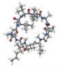 Cyclosporin A