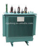 S11-M 20kV Sealed Power Transformer 800kVA