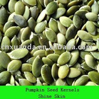 Pumpkin seed Kernels Shine-skin