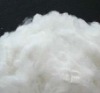 Virgin polyester staple fiber