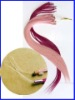 Wholesale 2012 Mirco Bead Hair Extensions