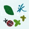 Insects Window Sticker