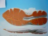 2012 selling hot running shoes sole