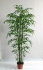 silk plant --bamboo