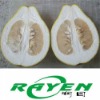 Shatian Pomelo