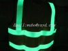 luminescent and reflective safety vest